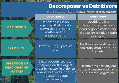difference  decomposer  detritivore  decomposer