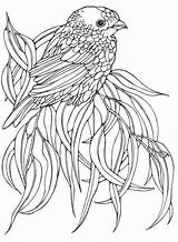 Coloring Birds Pages Adult Bird Printable Sheets Adults Embroidery Books Patterns Colouring Designs Book Animals Amazon Animal Mandala Choose Board sketch template