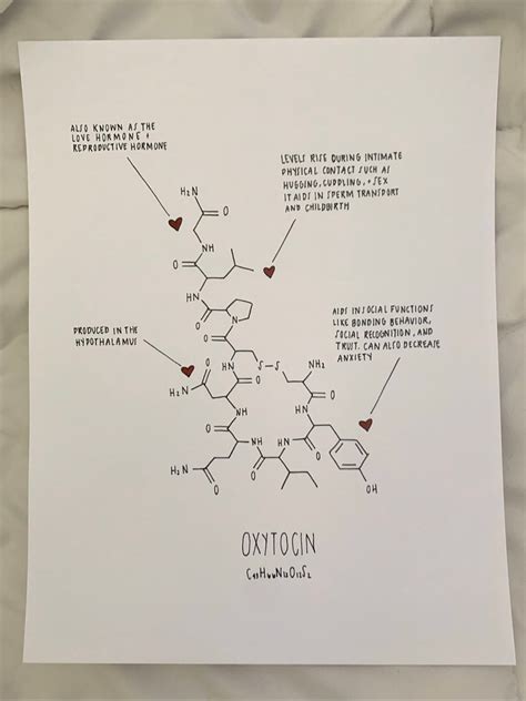 oxytocin molecule diagram print oxytocin molecule art print etsy