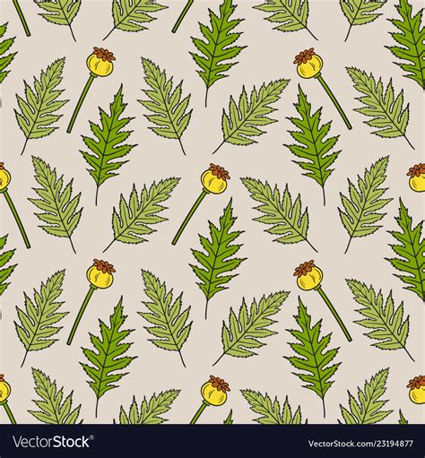 seamless pattern  poppy leaves  seed boxes vector image