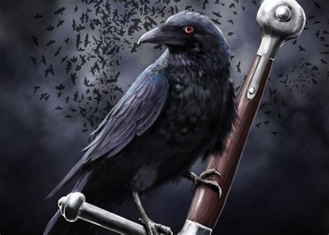 crow asrtwork google search crow animal wallpaper eagle wallpaper