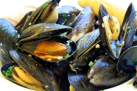 mussels your go to sustainable seafood