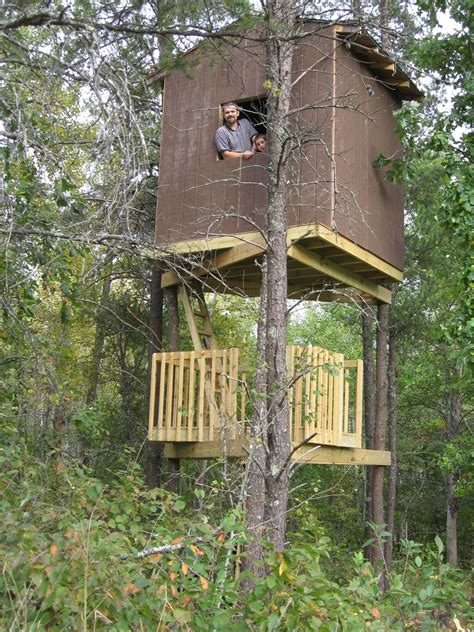 proverbs  living  story   tree fort  simple celebrations