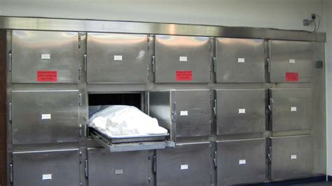 mortuary archives premium times nigeria