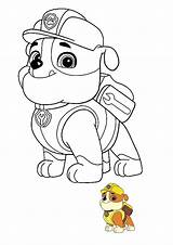 Rubble Coloriage Ruben Patrouille Bulldog Possede Camion Coloriages Youngest Coloring1 Gratuits Sheets Pintar Zuma sketch template