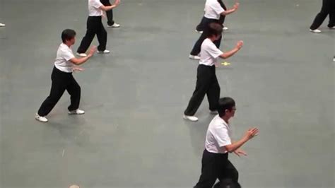 wu style tai chi chuan performance youtube