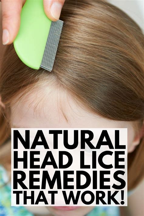 lice hacks natural remedies for head lice that actually work head