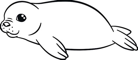 coloring pages  cute baby fur seal smiles stock illustration