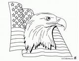 Patriotic Vlag Flagge Amerikanische Drapeau Aigle Symbole Americain Kleurplaat Dag Coloriages Unis Etats Colorier Flaggen Soldat Amerikaanse ähnliche Kategorien Popular sketch template