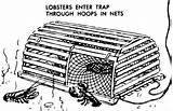 Lobster Traps Maine Lobsteranywhere Template sketch template