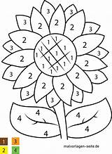 Zahlen Blume Vorschule Kostenlose Malvorlage Zeichnen Kleinkinder Schmetterling Tolle sketch template