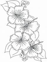 Hibiscus Mycoloring Cricut Paintingvalley sketch template