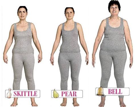 bottom heavy pear shape fashion average size women body types