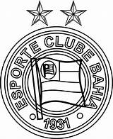 Bahia Clube Esporte Times Emblema sketch template