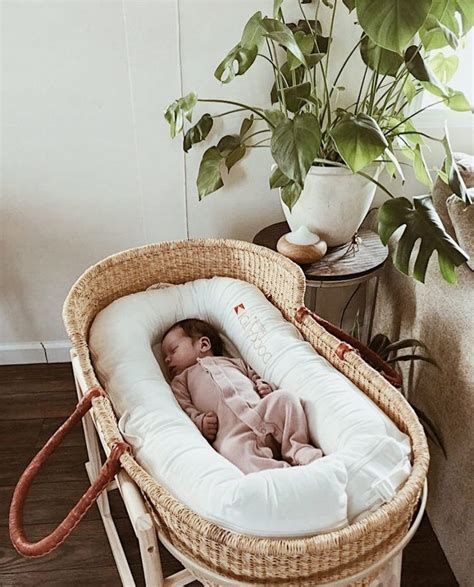 baby moses basket tips    baby cozy  safe distribution