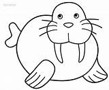 Walrus Coloring Pages Kids Printable Clipart Cool2bkids Preschool Cliparts Animal Clip Craft Super Crafts Kreslený Library Line Favorites Add sketch template