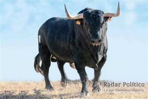 abcdario  el toro radar politico