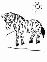 Coloring Zebra Grassland Animals Grasslands Clipart Pages Popular Kids Color Library Coloringhome sketch template