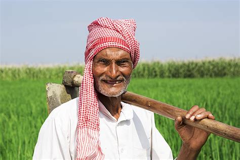 indian rural farmer  man working farm village