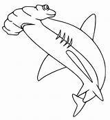 Tiburon Hammerhead Martillo Marinos Tiburones Hellokids Mako Shortfin sketch template