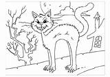 Coloring Cat Creepy Cats Scary Pages Large Edupics Printable sketch template