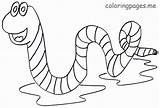 Coloring Worm Cute Pages Worms Printable Animal Sheet Print Books sketch template