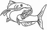 Catfish Pesce Tocolor sketch template