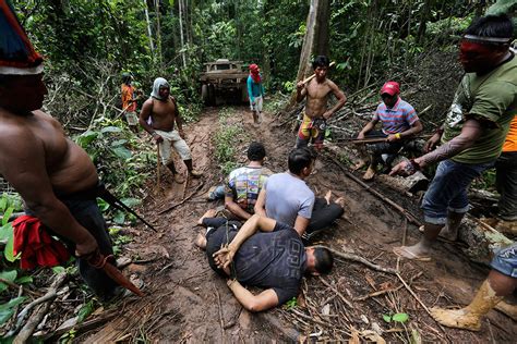 photo report amazon indian warriors beat and strip illegal loggers in battle for jungle s future