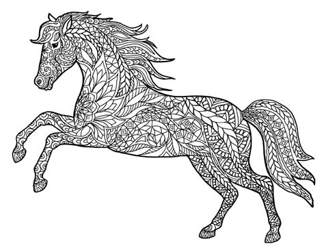 equine horse color pages  adults coloriage cheval coloriage