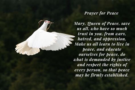 prayer  peace st mary basha catholic school