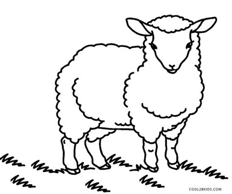 printable sheep face coloring pages  kids