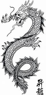 Dragon Tattoo Japanese Chinese Stencil Line Drawing Pattern Stencils Traditional Designs Tatoo Choose Board Drago Year Without sketch template