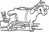 Oxen Coloring Plow Pages Drawing Yugo Ox Template Zum Wakfu Color Ausmalbild Ochsen Pflug Mit sketch template