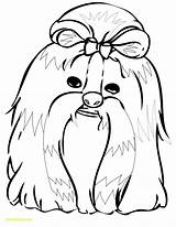 Tzu Shih Coloring Pages Color Dog Drawing Printable Dogs Kids Getdrawings Animal Crayola Grooming Adult Getcolorings Print Visit Service Animals sketch template