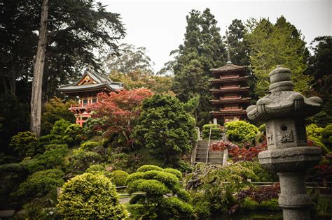 tips  visiting  san francisco japanese tea garden