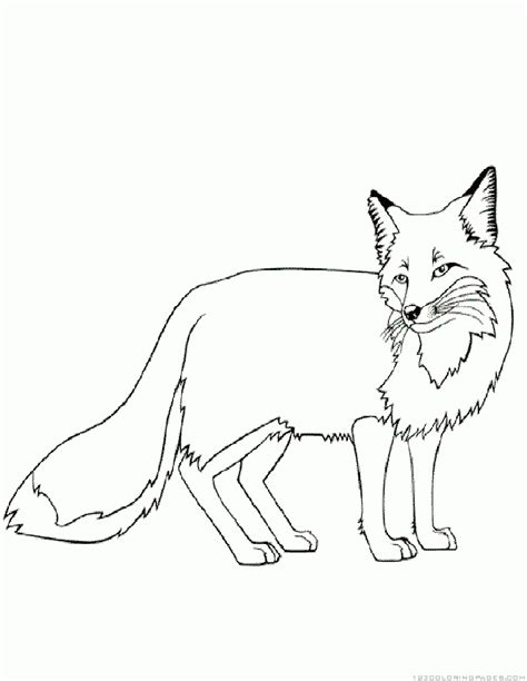 fox coloring pages part  fox coloring page animal coloring pages