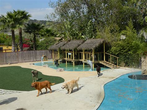 paradise ranch pet resort
