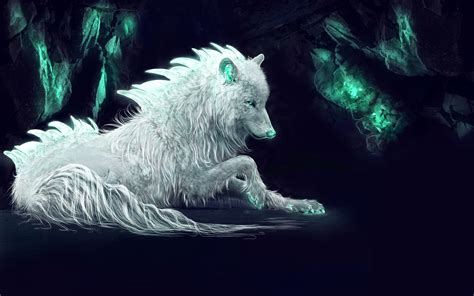 white arctic wolf  wallpapers hd wallpapers