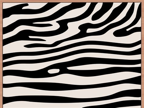 draw zebra stripes  steps  pictures wikihow