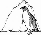 Penguin Coloring Pages Penguins Printable Drawing Kids Line Print Clipart Emperor Color Adelie Cliparts Drawings Lovely Beautiful Marvelous Library Will sketch template