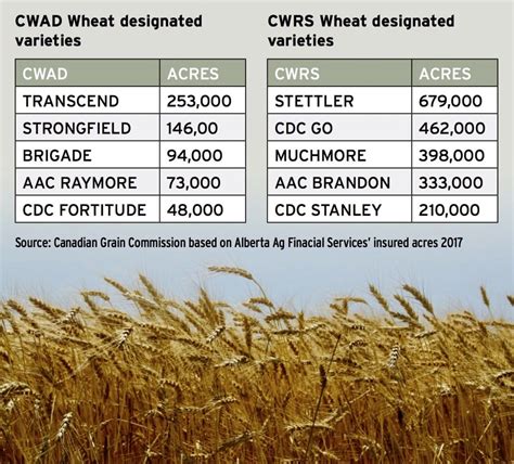 wheat varieties    eye  alberta farmer express