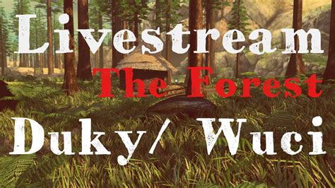 duky czsk    forest wwuci youtube