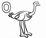 Coloring Pages Alphabet Ostrich Printable Info Online sketch template