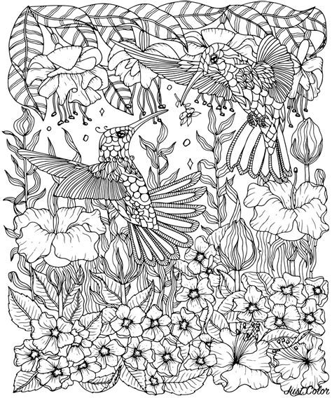 hummingbirds  flowers coloring page birds adult coloring pages