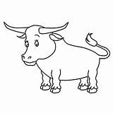 Bull Coloring Brahman 230px 21kb sketch template