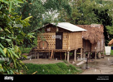 traditional assamese house  stilts majuli island assam india stock photo  alamy
