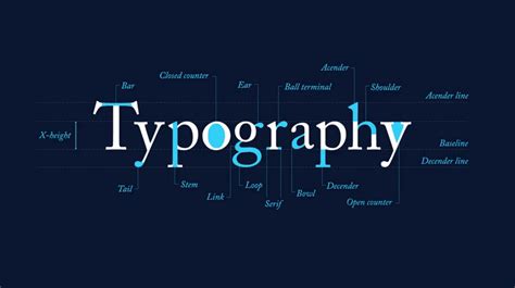 beautifully illustrated glossary  typographic terms