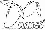 Mango Coloring Tree Pages Turns Wine Water Into Colouring Printable Colorear Para Kids Jesus Nombre Con Fruit Drawing Frutas Clipart sketch template