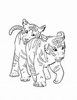 Tigres Carinhosos Colorir Wonderweirded Leopard Adorable Cub Tudodesenhos Tigers Cubs sketch template