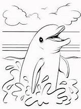Dolfijn Kleurplaten Delfin Dolphin Dolphins Dolfijnen Delfini Topkleurplaat Dieren Printen Delfine Delfino Ausmalen Tekeningen Bilder Bezoeken sketch template